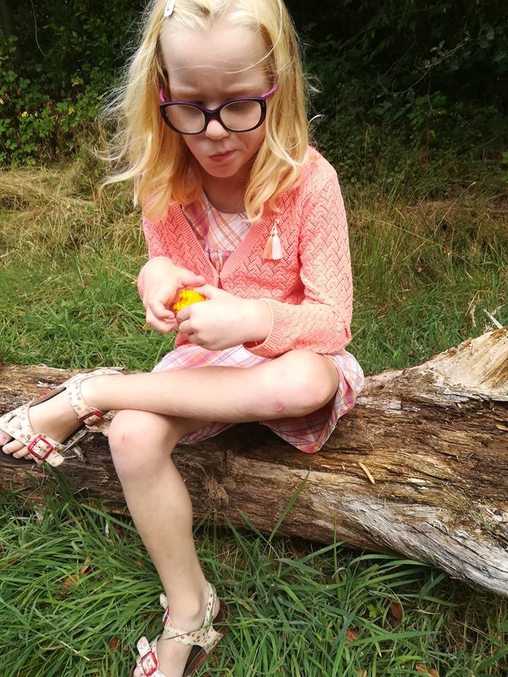 Image d'illustration de l'article