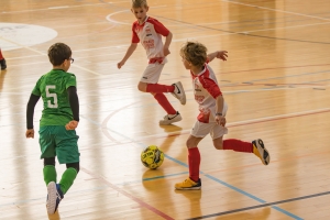 _MG_6526.jpg
