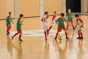_MG_6981.jpg